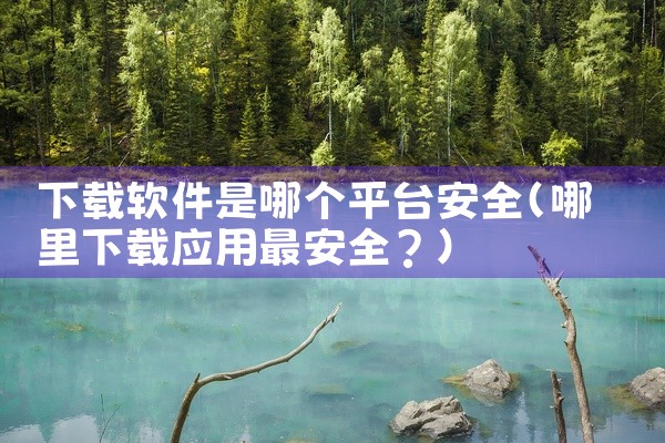 下载软件是哪个平台安全