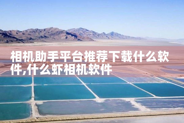 相机助手平台推荐下载什么软件