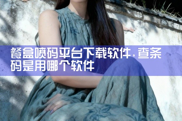 餐盒喷码平台下载软件