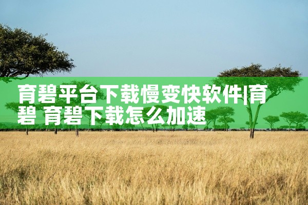 育碧平台下载慢变快软件