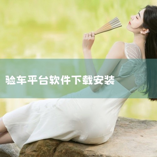 验车软件的选择需综合多方面因素考量，不同软件各有优劣，以下为您详细介绍几款常见且口碑较好的验车软件：一、优信二手车1. 车辆信息全面：涵盖海量真实车源，详细展示车辆的品牌、型号、年份、里程数、配置等关|