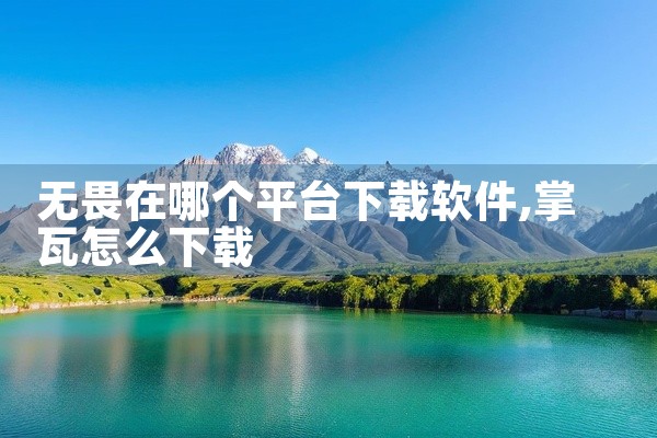 无畏在哪个平台下载软件