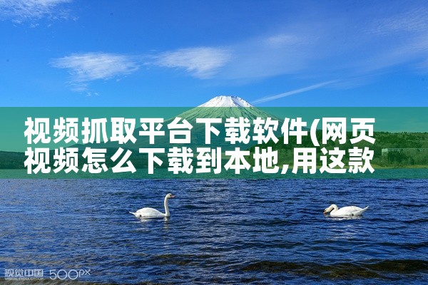 视频抓取平台下载软件
