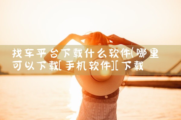找车平台下载什么软件