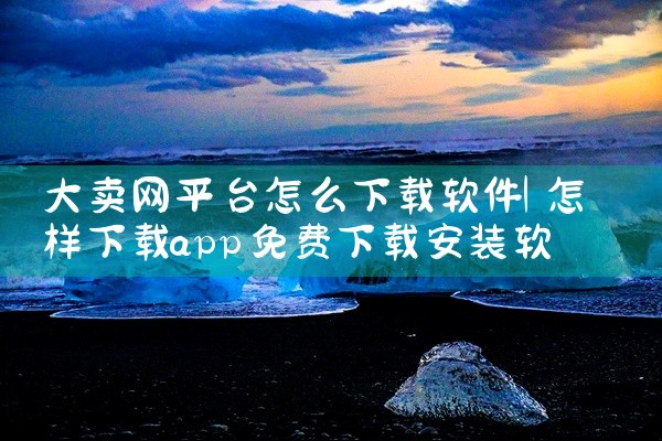 大卖网平台怎么下载软件